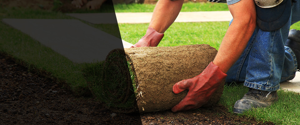 Manawa Landscapers